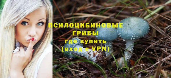 прущая мука Алзамай