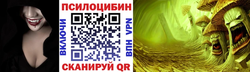 Псилоцибиновые грибы Cubensis  darknet Telegram  blacksprut ССЫЛКА  Змеиногорск  где продают  