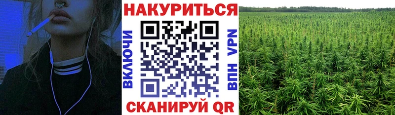 Шишки марихуана MAZAR Змеиногорск